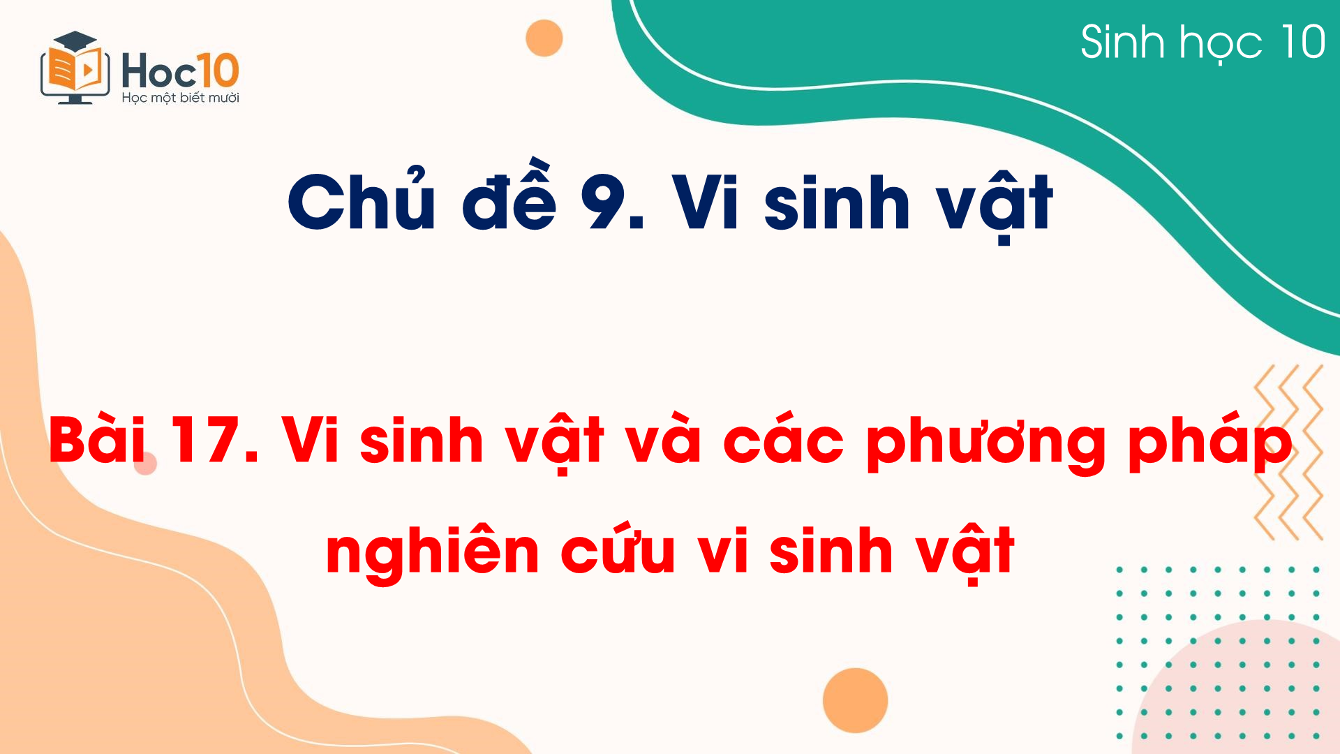 Bài 17 Vi sinh vật và các phương pháp nghiên cứu vi sinh vật